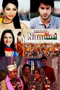 Постер к фильму Нандини / Desh Ki Beti Nandini (на русском языке)